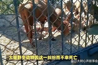 牛牛高手心水论坛截图2